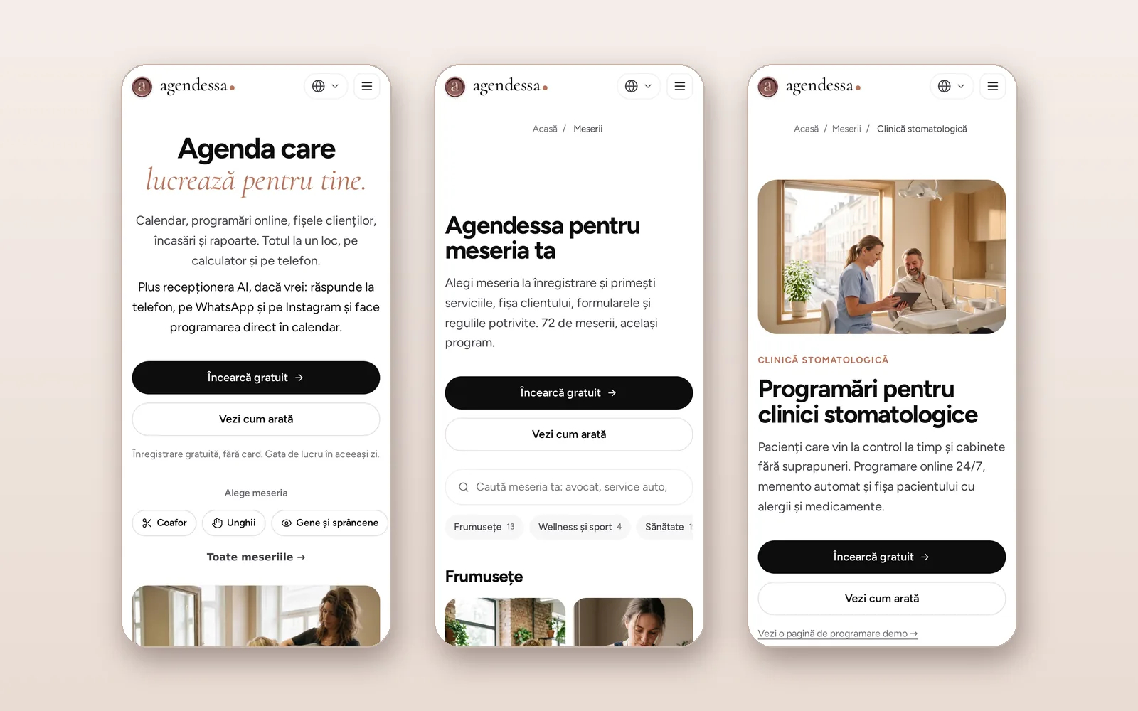 Site-ul pe telefon: prima pagină, meseriile și o pagină de meserie
